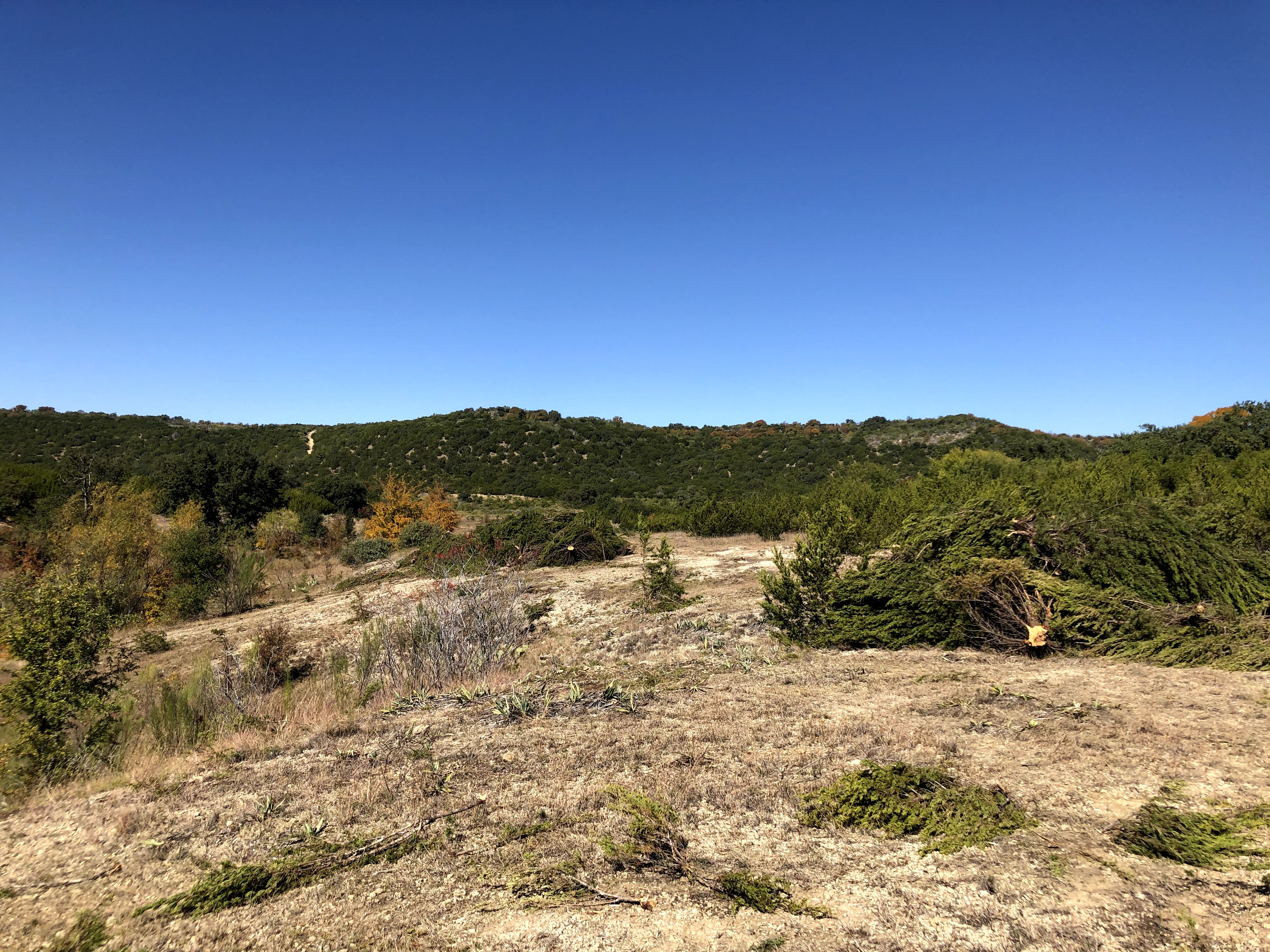 Area on Copeland tract after brush (juniper) removal in 2020